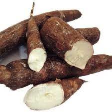 Ketela Pohon
